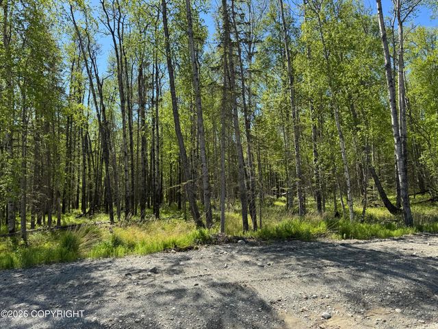 4696 N Baloo Drive, Wasilla, AK 99654