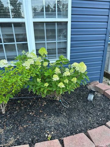 5893 Midridge Drive, House Springs, MO 63051