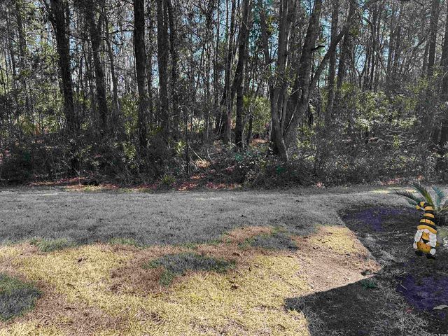721 Painted Bunting Ct. C, Murrells Inlet, SC 29576