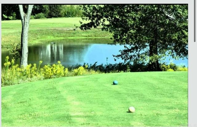 107 Sawgrass Drive, Benton, AR 72015