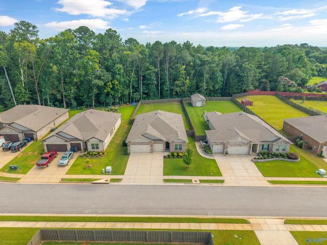 246 Poplar Hollow Drive, Harvest, AL 35749
