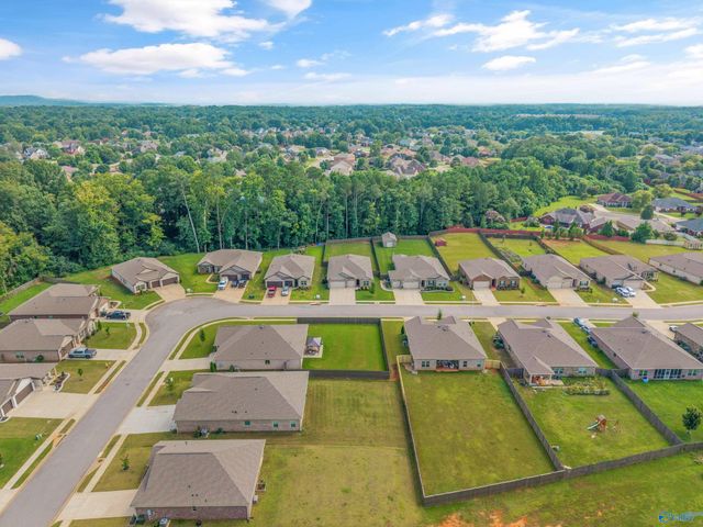 246 Poplar Hollow Drive, Harvest, AL 35749