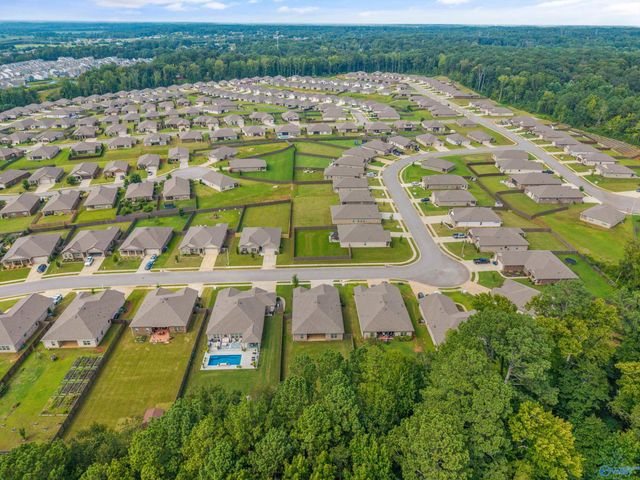 246 Poplar Hollow Drive, Harvest, AL 35749
