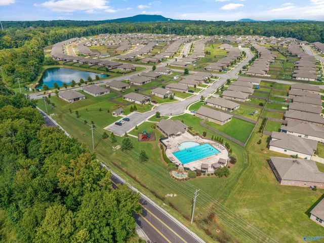 246 Poplar Hollow Drive, Harvest, AL 35749