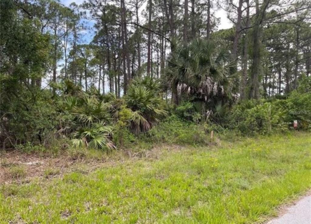 6079 E JOYCE LANE, Inverness, FL 34452