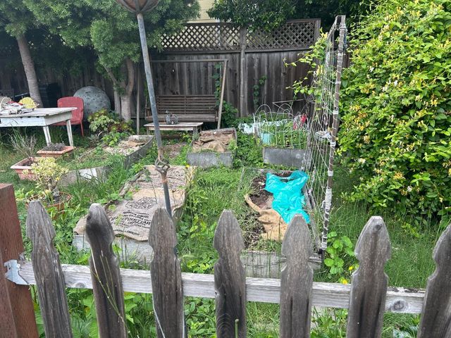 1405 Central Avenue, Alameda, CA 94501