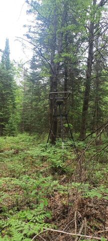 1474 N Old State Avenue, Harrison, MI 48625