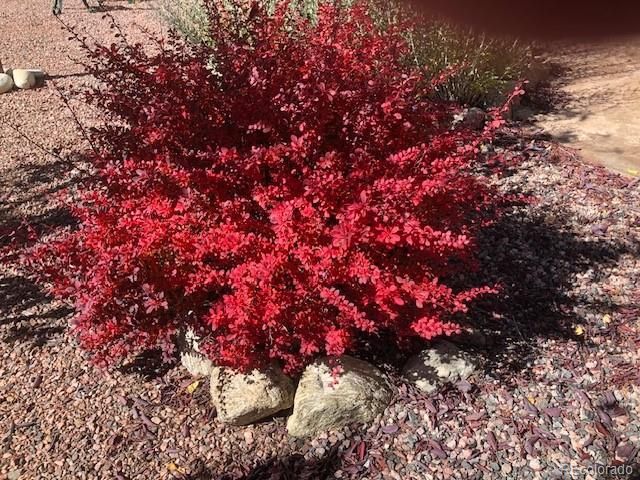 18311 Wagon Trail, Buena Vista, CO 81211