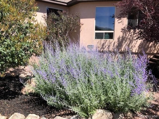 18311 Wagon Trail, Buena Vista, CO 81211