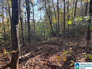 0 COUNTY ROAD 624, Woodland, AL 36280