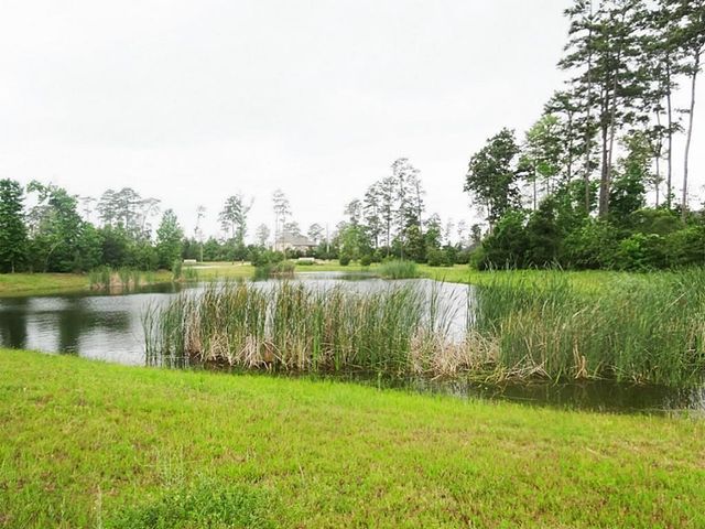 59 Triple Gap Drive, Tomball, TX 77375