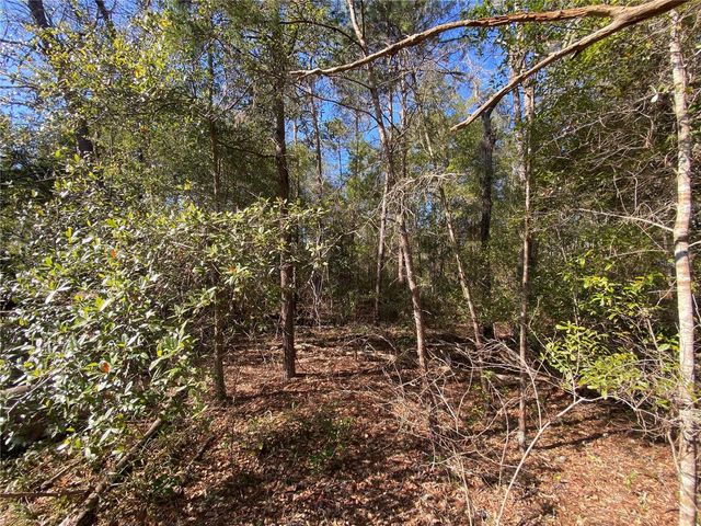 2085 SW ALGIERS COURT, Dunnellon, FL 34431