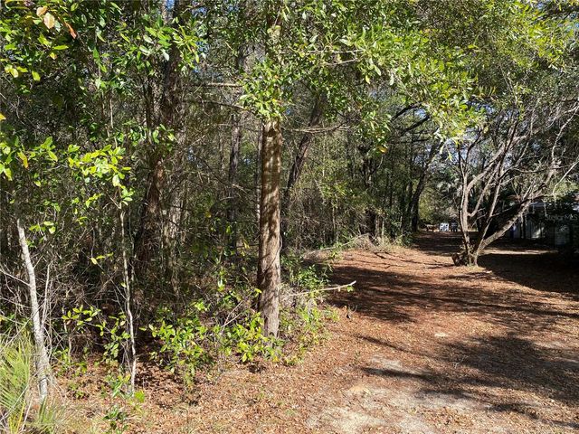 2085 SW ALGIERS COURT, Dunnellon, FL 34431