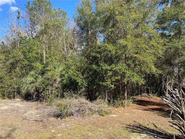 2085 SW ALGIERS COURT, Dunnellon, FL 34431