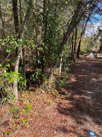 2085 SW ALGIERS COURT, Dunnellon, FL 34431