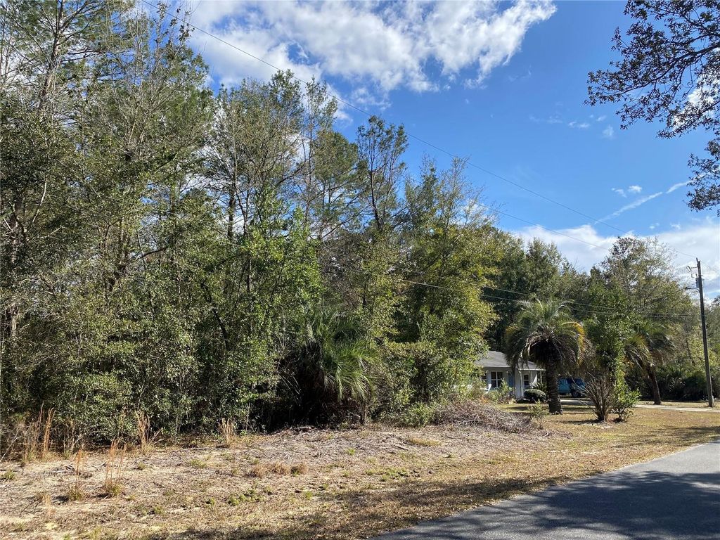 2085 SW ALGIERS COURT, Dunnellon, FL 34431