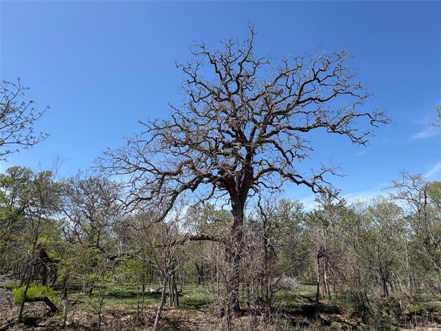 1285 Burdette Wells RD, Lockhart, TX 78644