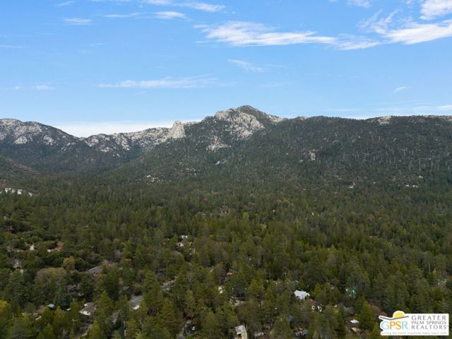 54700 Pine Crest Avenue, Idyllwild, CA 92549