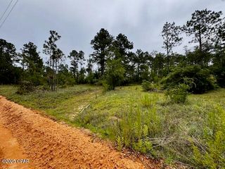 TBD Wildrose Lane, Chipley, FL 32428