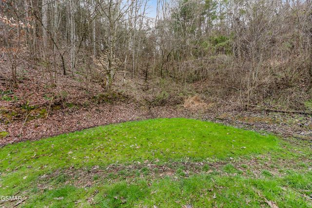 1223 Powder Springs Road, Sevierville, TN 37876