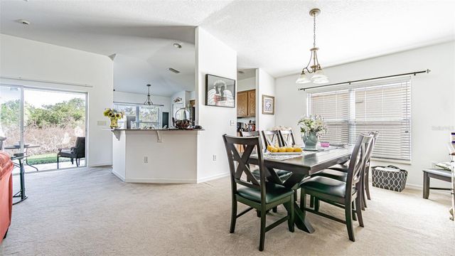 29407 SNAP HOOK DRIVE, San Antonio, FL 33576