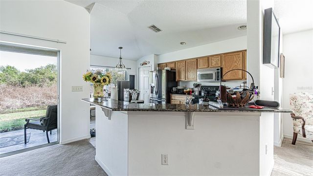 29407 SNAP HOOK DRIVE, San Antonio, FL 33576