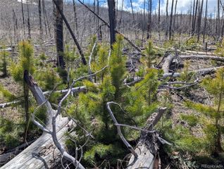 1945 Strauss Drive, Fort Garland, CO 81133