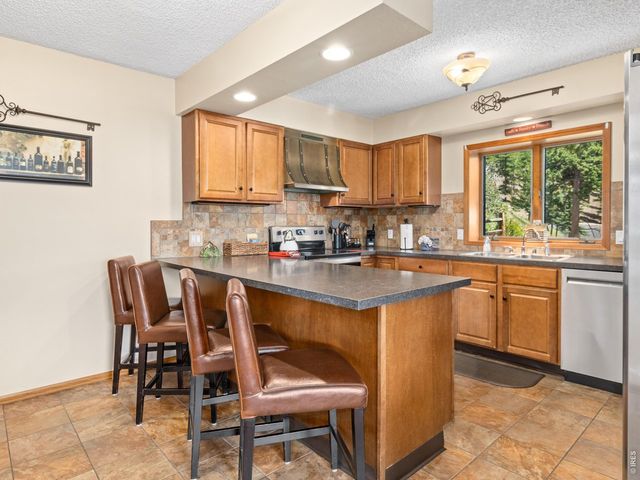 1731 Aspencliff Ct 1, Estes Park, CO 80517