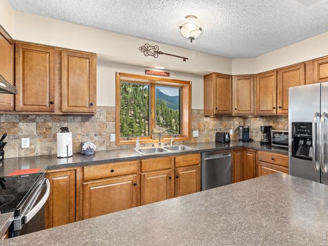 1731 Aspencliff Ct 1, Estes Park, CO 80517