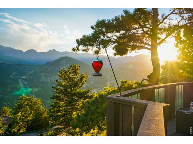 1731 Aspencliff Ct 1, Estes Park, CO 80517