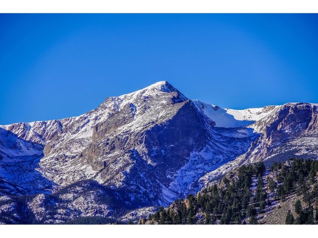 1731 Aspencliff Ct 1, Estes Park, CO 80517