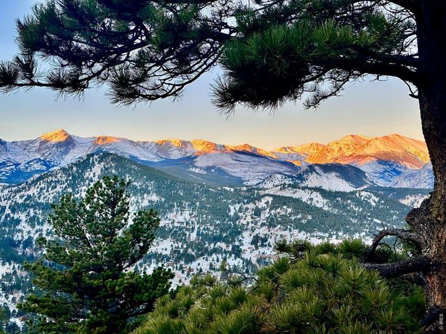 1731 Aspencliff Ct 1, Estes Park, CO 80517