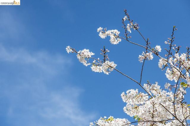 71 Norwood Ave, Kensington, CA 94707