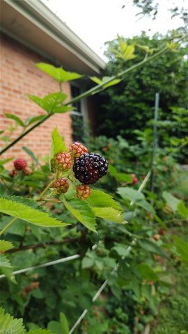 4016 Oak DR, Chesapeake, VA 23321