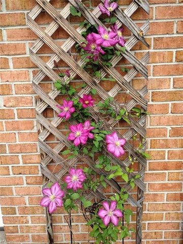 4016 Oak DR, Chesapeake, VA 23321