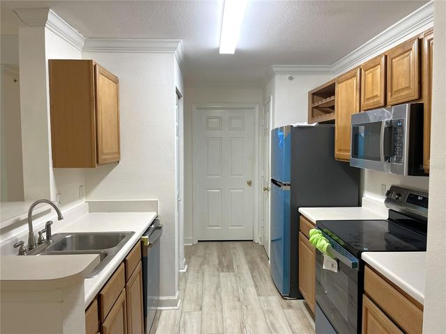 18119 BRIDLE CLUB DRIVE 18119, Tampa, FL 33647