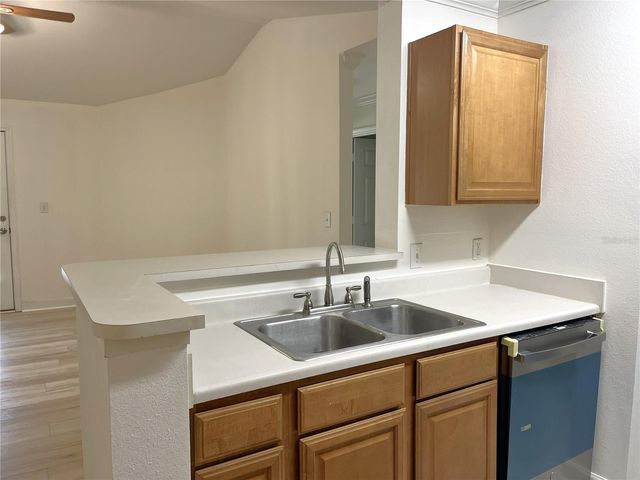 18119 BRIDLE CLUB DRIVE 18119, Tampa, FL 33647