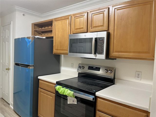 18119 BRIDLE CLUB DRIVE 18119, Tampa, FL 33647