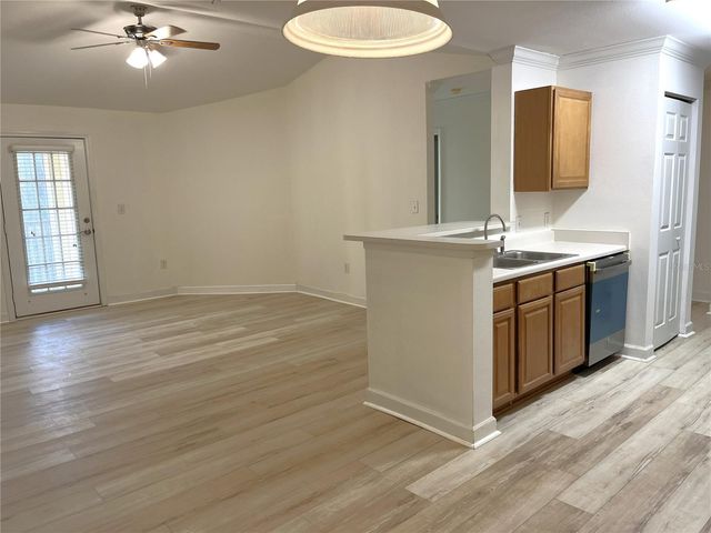 18119 BRIDLE CLUB DRIVE 18119, Tampa, FL 33647