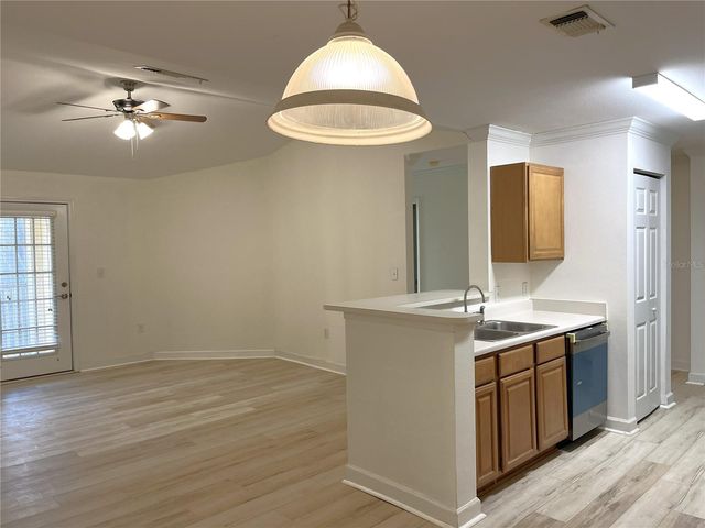 18119 BRIDLE CLUB DRIVE 18119, Tampa, FL 33647