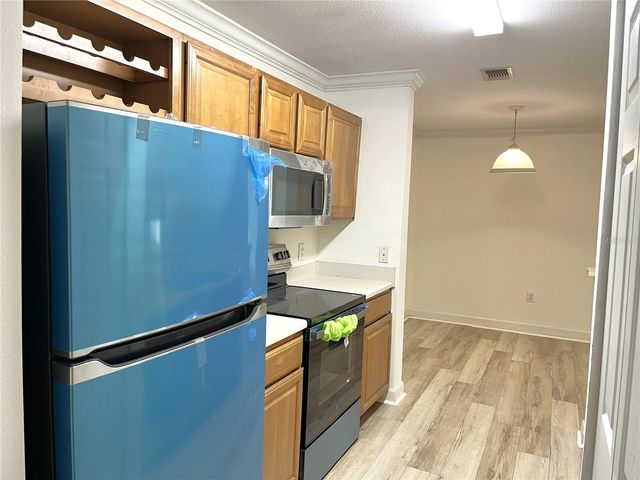 18119 BRIDLE CLUB DRIVE 18119, Tampa, FL 33647