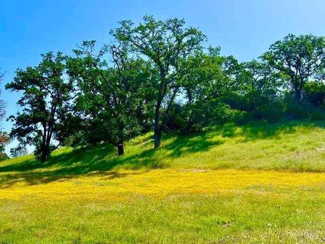 10225 Kelsey Creek Dr, Kelseyville, CA 95451