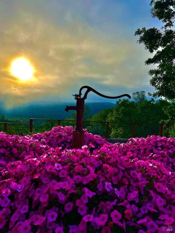 10225 Kelsey Creek Dr, Kelseyville, CA 95451