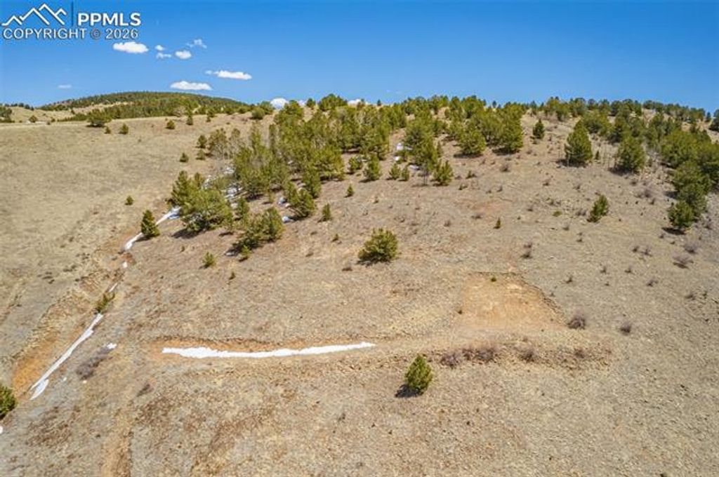 1538 County Road 1, Cripple Creek, CO 80813 — photo 3