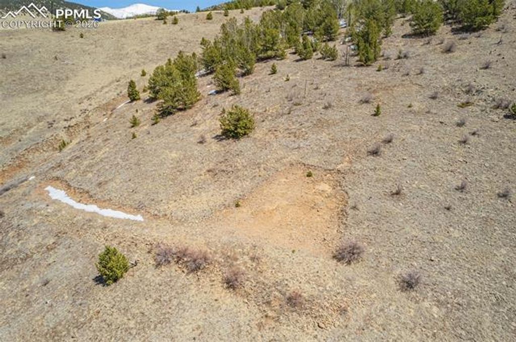 1538 County Road 1, Cripple Creek, CO 80813 — photo 4