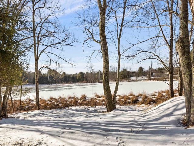 6 Lakeside Drive, Monticello, NY 12701