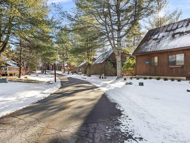 6 Lakeside Drive, Monticello, NY 12701