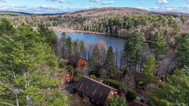 6 Lakeside Drive, Monticello, NY 12701