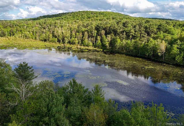 6 Lakeside Drive, Monticello, NY 12701