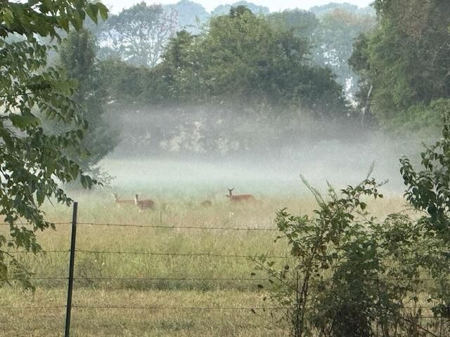 1908 State Highway Jj, Sparta, MO 65753